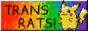 Trans Rats! Trans Rats!