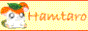 HamHamParadise! HamHamParadise!
