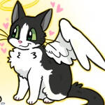Rest in Peace, Bella Rest in Peace, Bella