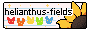 Helianthus Fields! Helianthus Fields!