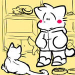 Cats Cats