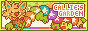 Callie’s Garden!