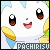 Pachirisu!